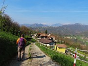 In Canto Alto (1146 m) da Ripa-Zogno ad anello fiorito il 10 aprile 2025 - FOTOGALLERY